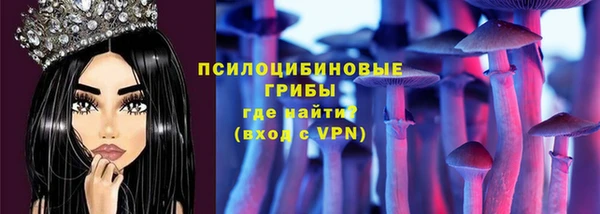 прущие грибы Волосово