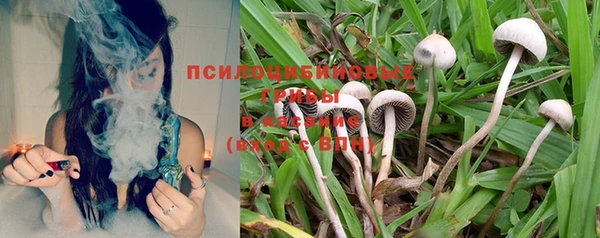 гашиш Володарск